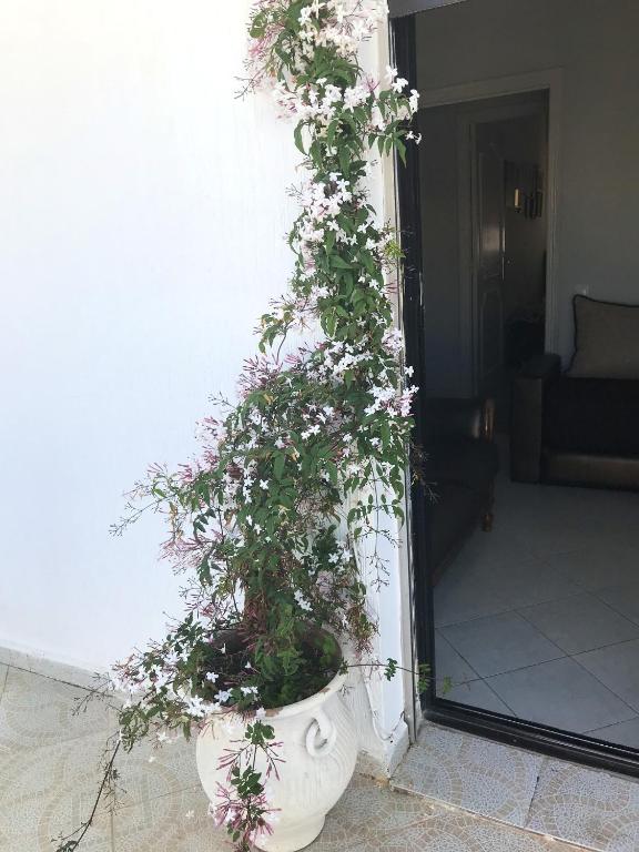 Apartment with 3 bedrooms in Tanger with wonderful city view terrace and WiFi 1 km from the beach image 9