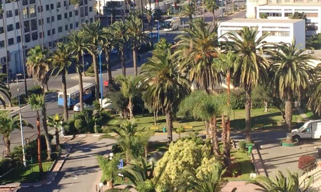 Apartment with one bedroom in Casablanca with wonderful city view balcony and WiFi 5 km from the beach image 9