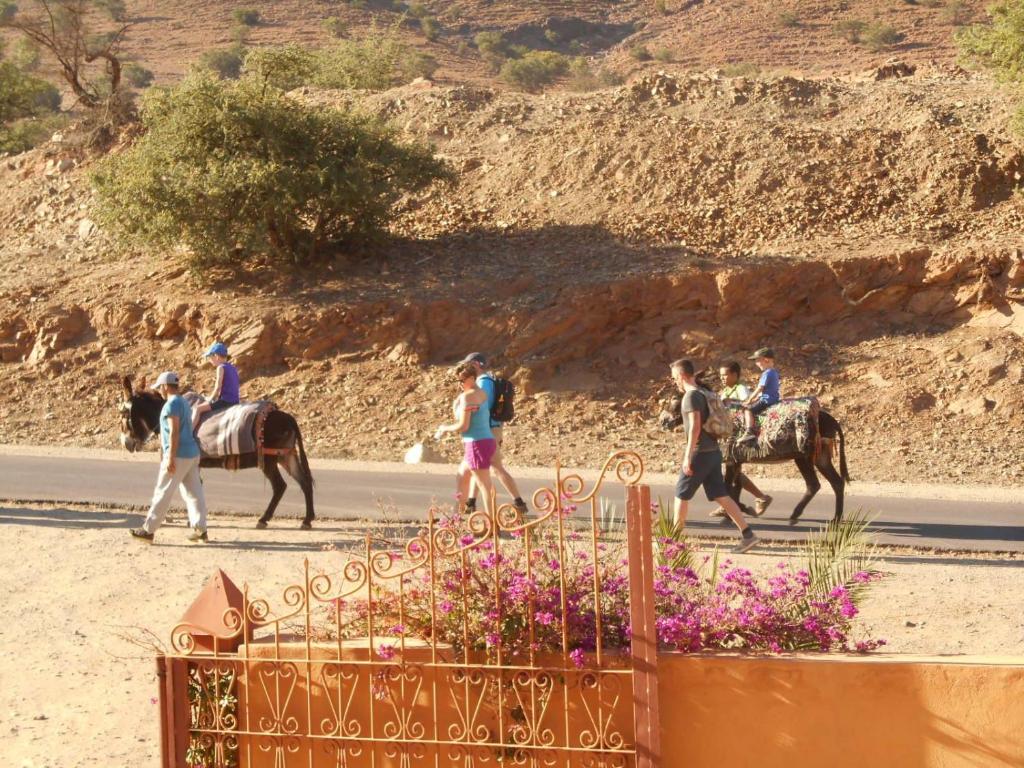 Auberge Kasbah Chez Amaliya image 4