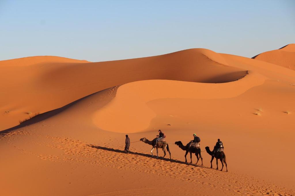 Auberge Kasbah Des Dunes image 1