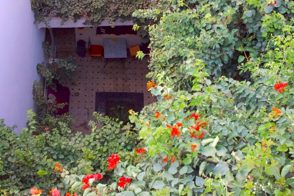 Bougainvillea Riad image 0