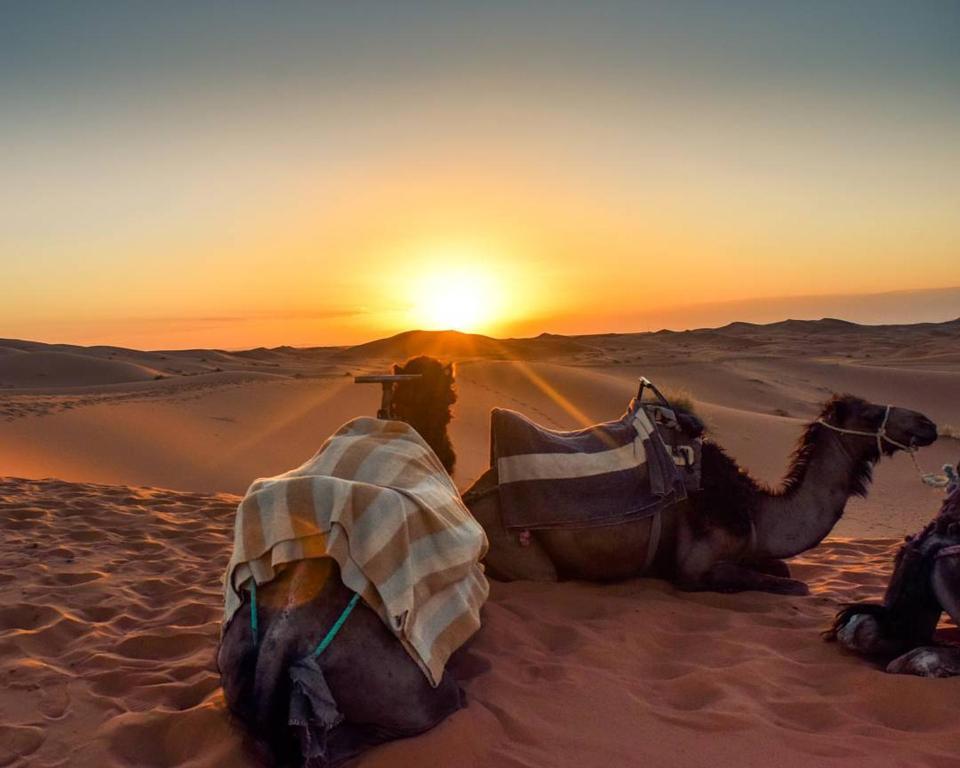 Camel Trekking Desert Camp image 0