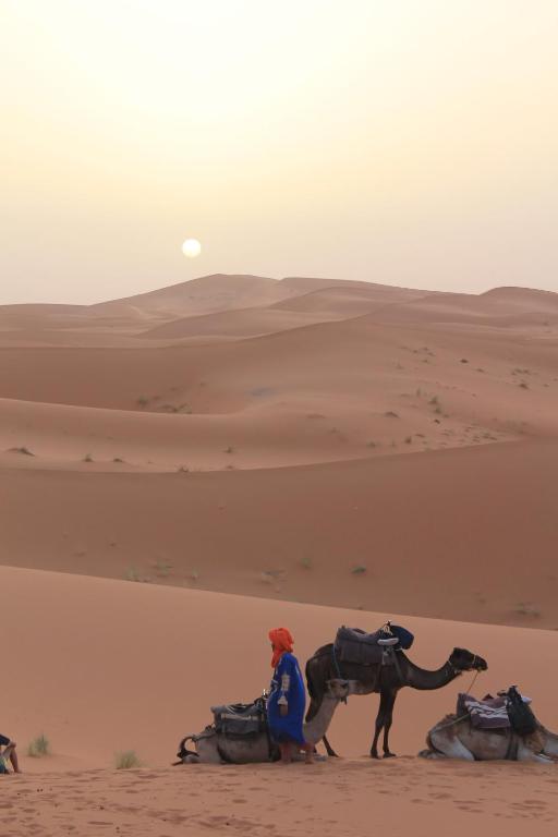 Camel Trekking Desert Camp image 2