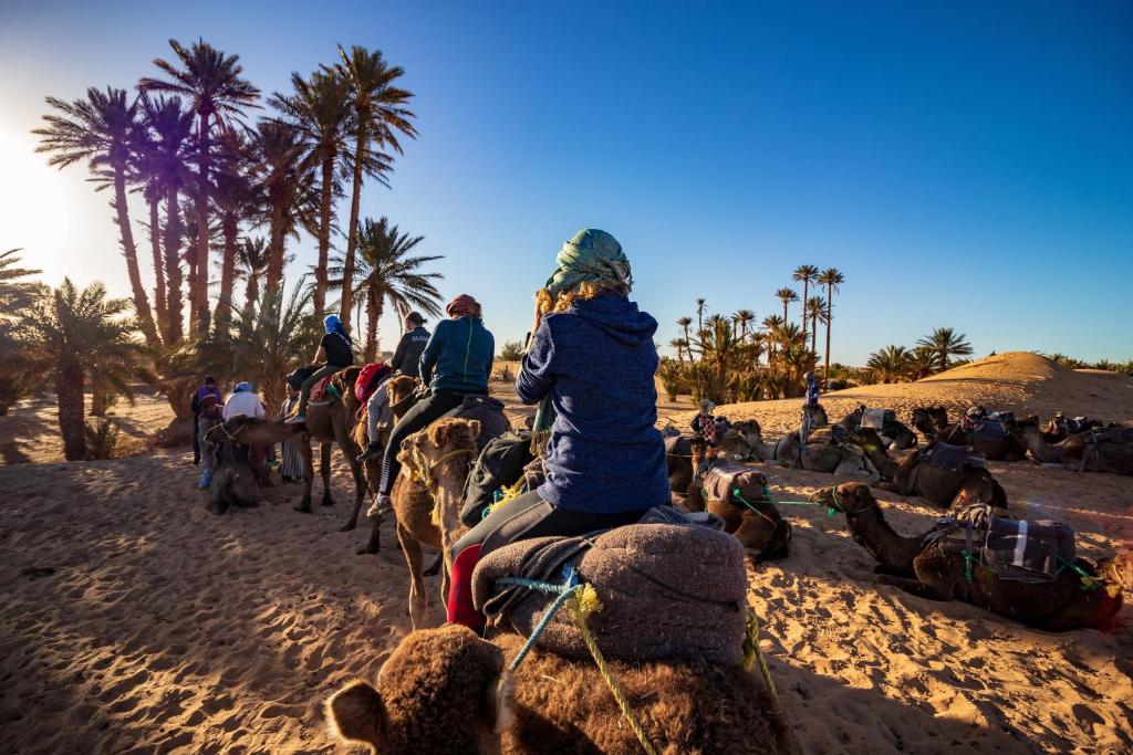 Camel Trekking Desert Camp image 4