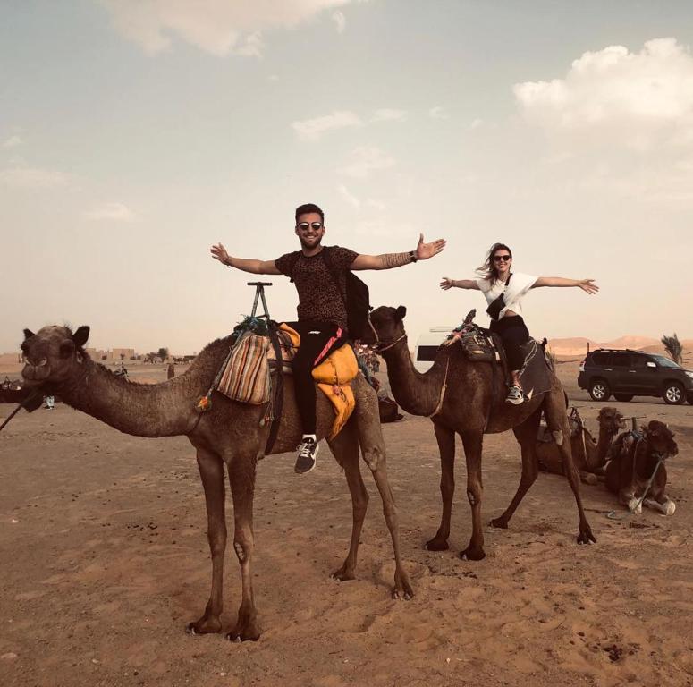 Camel Trekking Desert Camp