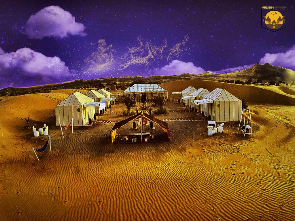 Camel Trips Luxury Camp