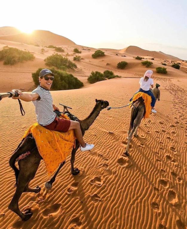 Camel trips Merzouga image 0