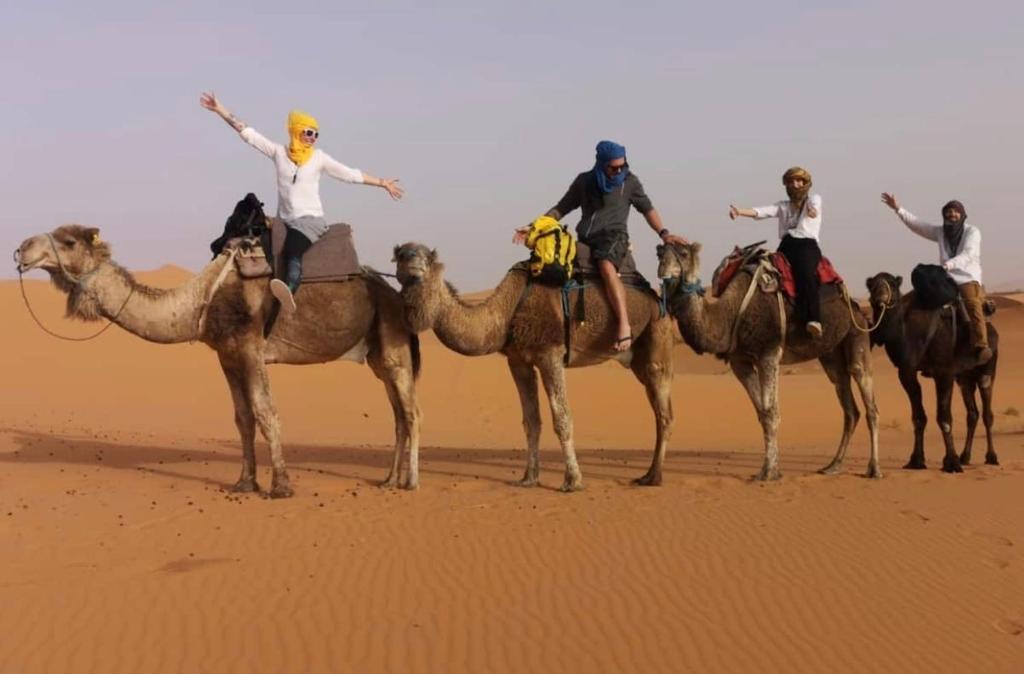 Camel trips Merzouga image 2