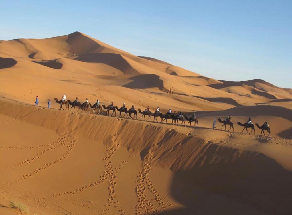 Camel trips Merzouga image 3