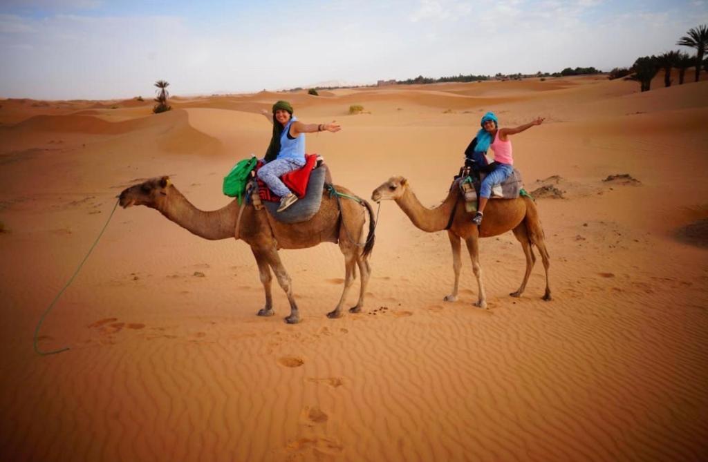 Camel trips Merzouga image 4