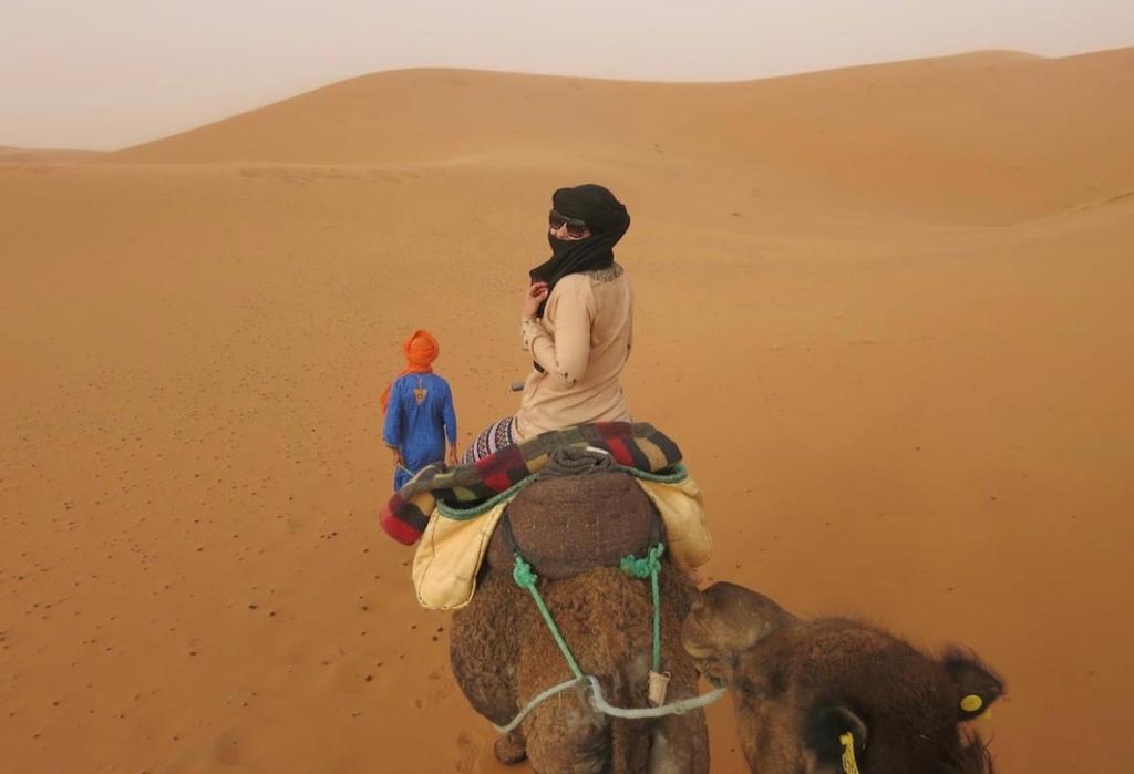 Camel trips Merzouga image 6