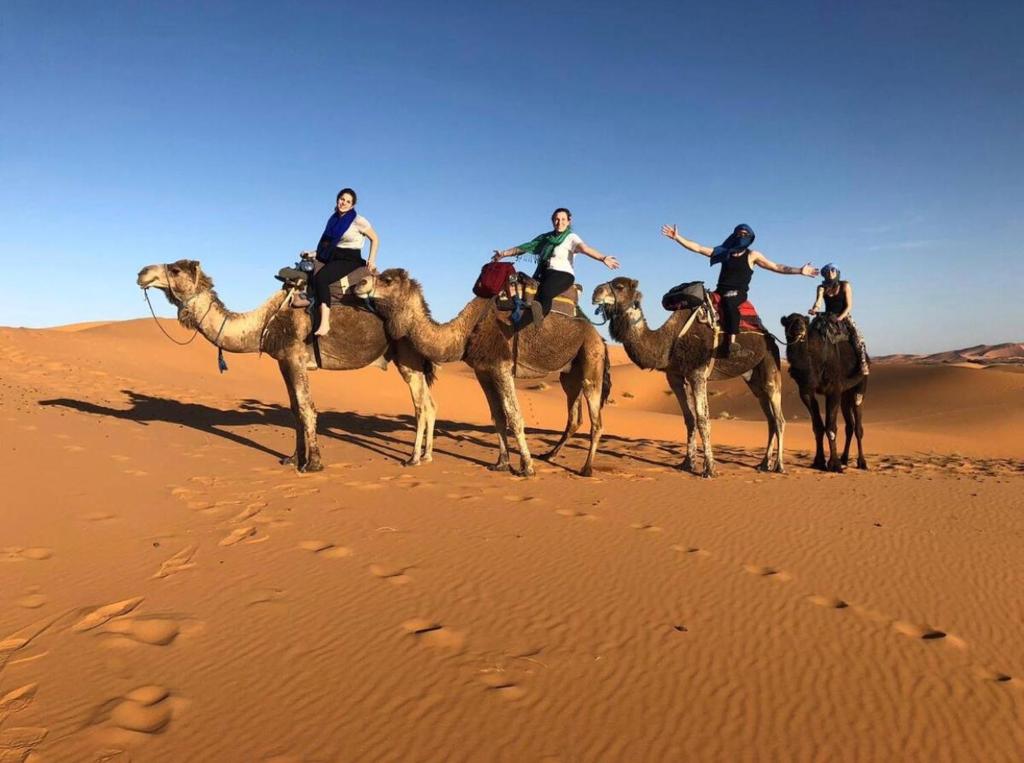 Camel trips Merzouga image 7