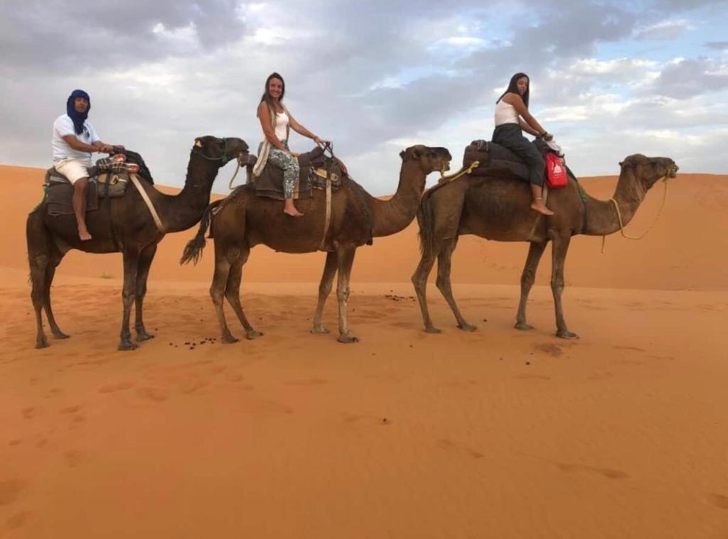 Camel trips Merzouga image 8