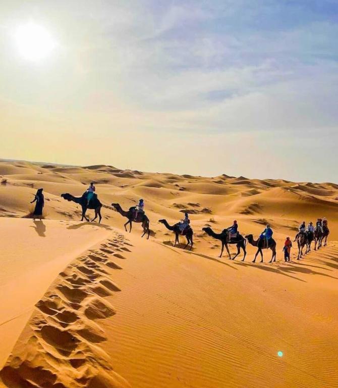 Camel trips Merzouga image 9