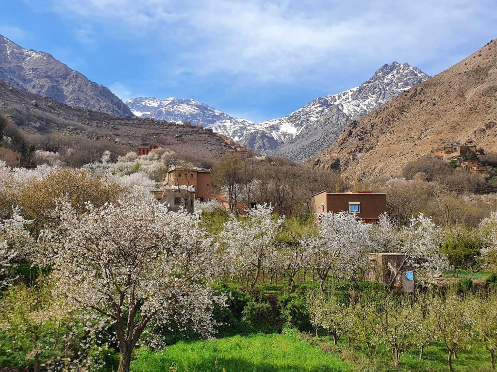 Dar Assarou - Toubkal National Park Lodge image 2