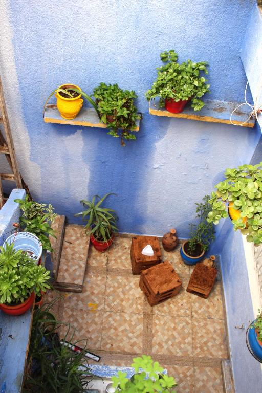 DAR AYOUB Entire House in Tangier near Café HAFA PALAIS MARCHAN image 6