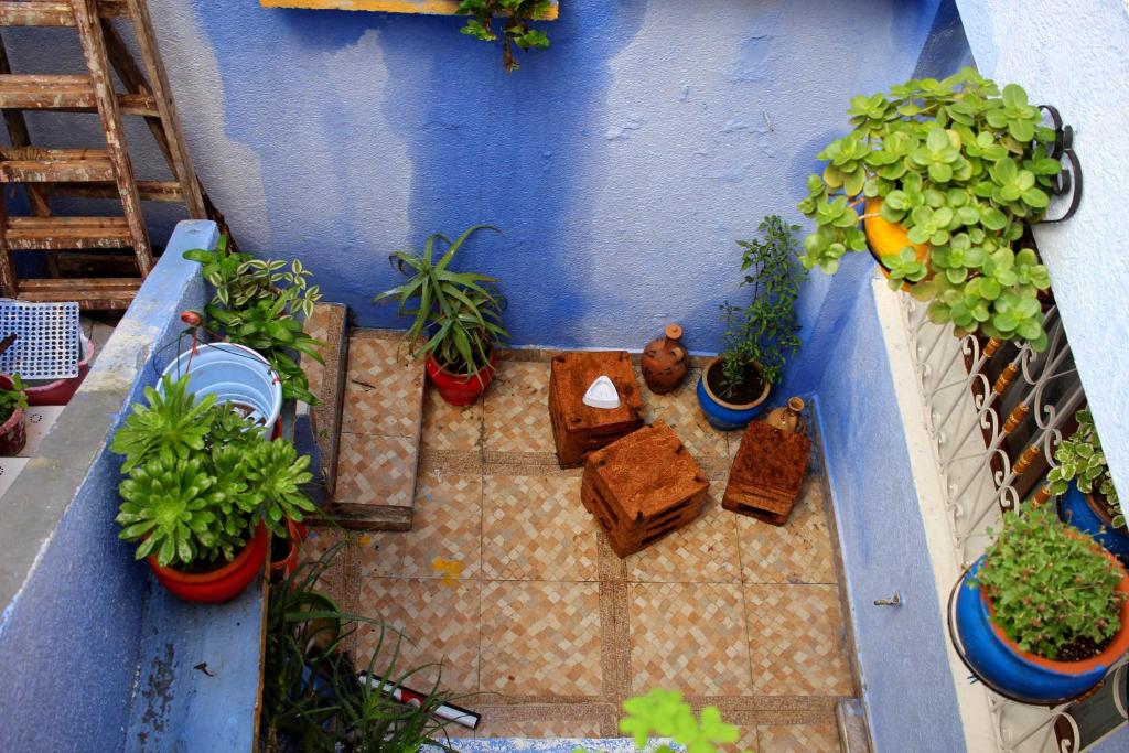 DAR AYOUB Entire House in Tangier near Café HAFA PALAIS MARCHAN image 9