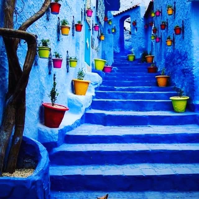 DAR CASA TISEMLAL XAOUEN CHEFCHAOUEN image 5