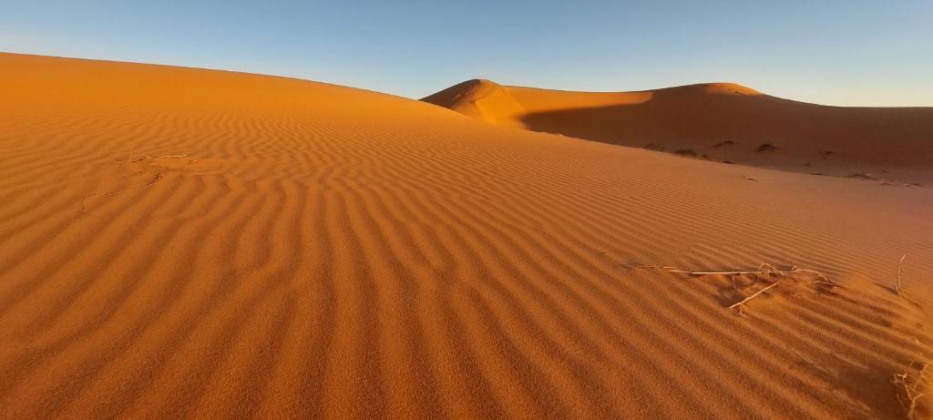 Desert Night Camp image 5