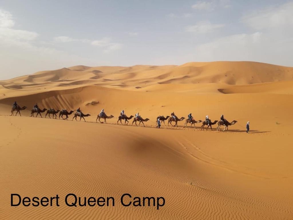 Desert Queen Camp ( typical luxury) image 2