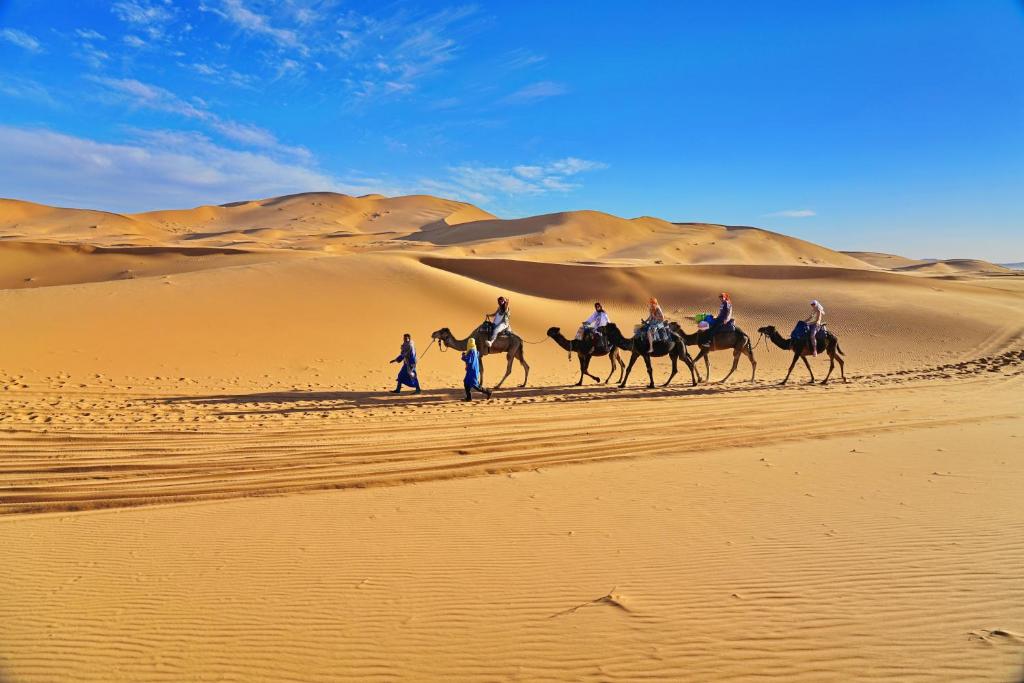 Erg Chebbi Camp image 7