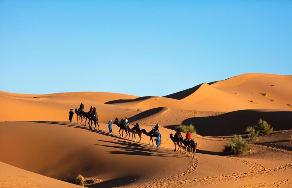 Erg Chebbi Luxury Desert Camp image 9