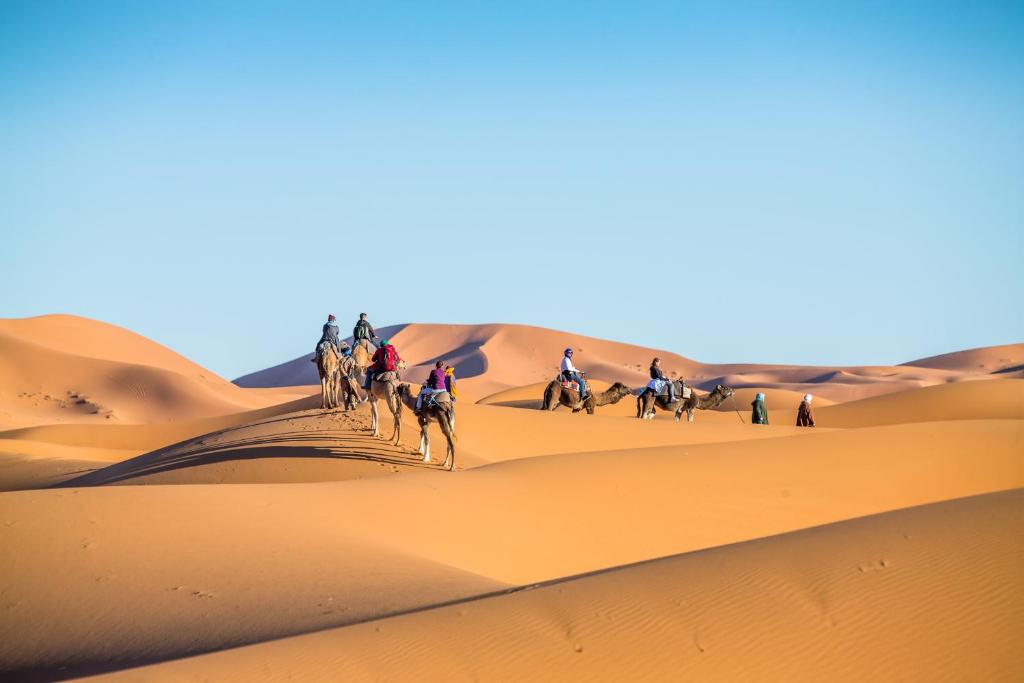 Erg Chebbi image 3