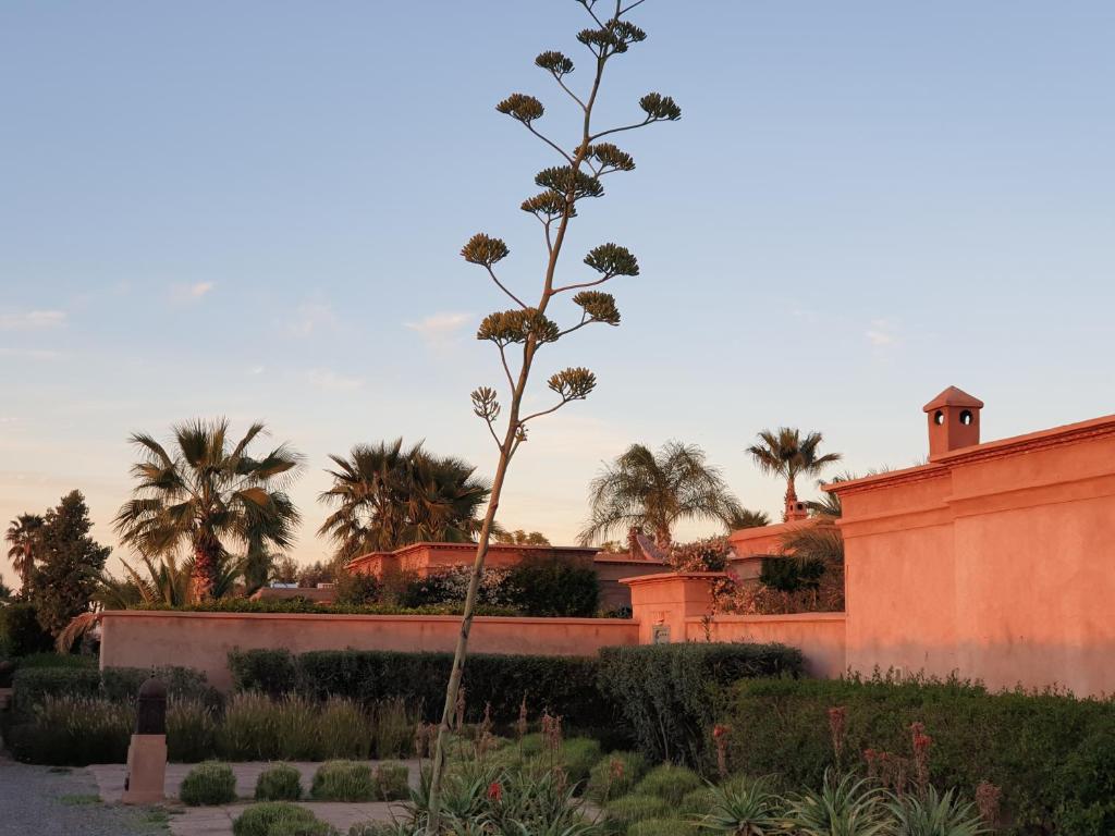 EXCLUSIVE POOL VILLA MARRAKECH image 4