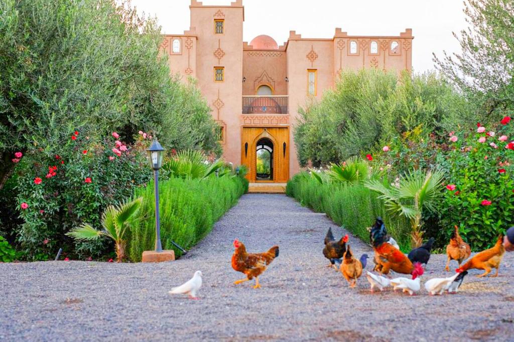 Ferme Sidi Safou image 0