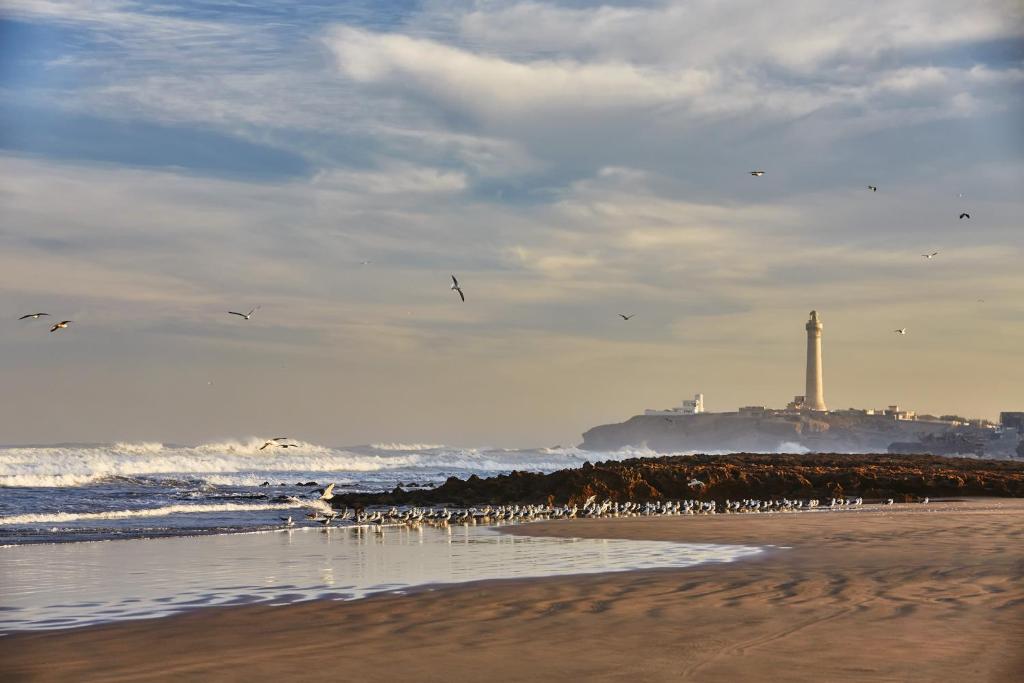 Four Seasons Hotel Casablanca image 9