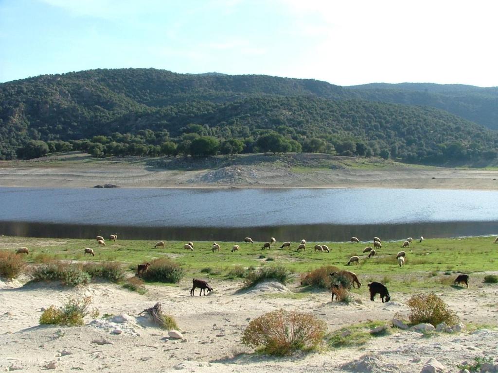 Gite à la ferme du lac Afourgaa image 0