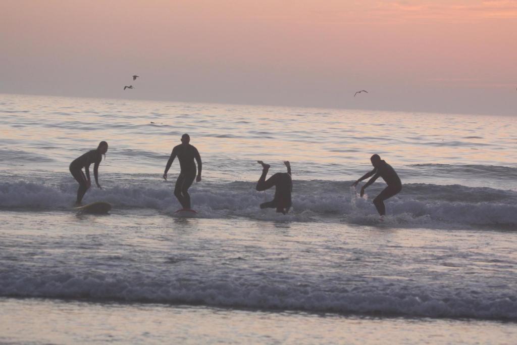 GOLVEN Surf image 9