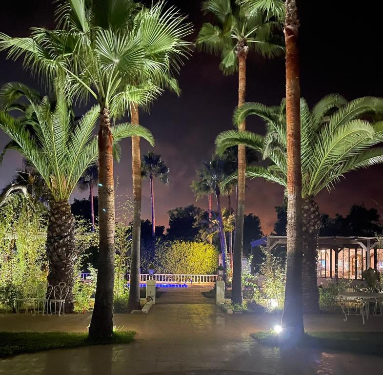 Hacienda Andalucia image 7