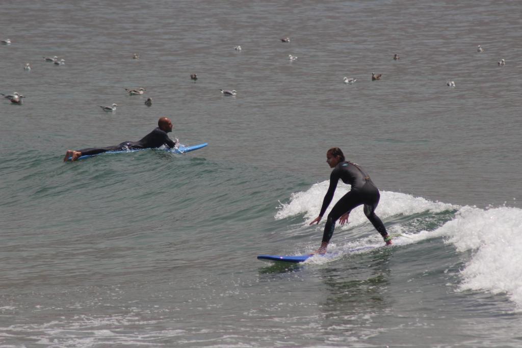 Hashpoint Surf Camp image 1