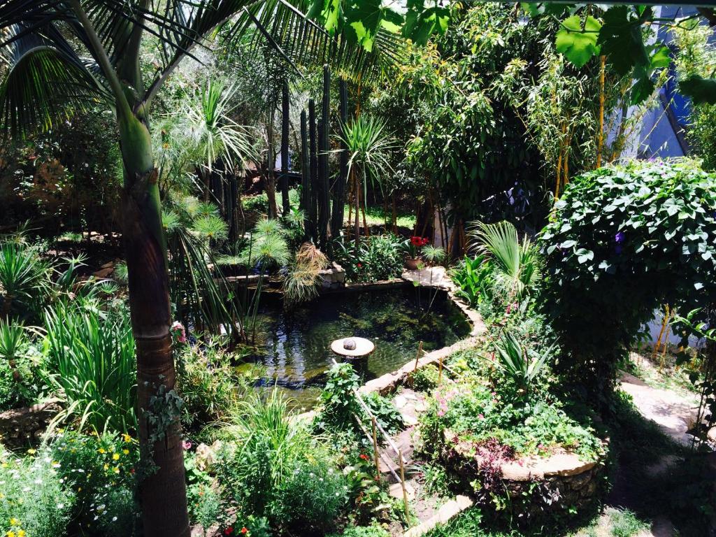 Hotel Molino Garden image 8