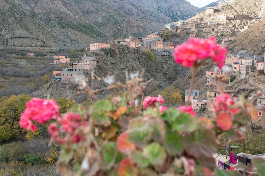 Imlil Authentic Toubkal Lodge image 9