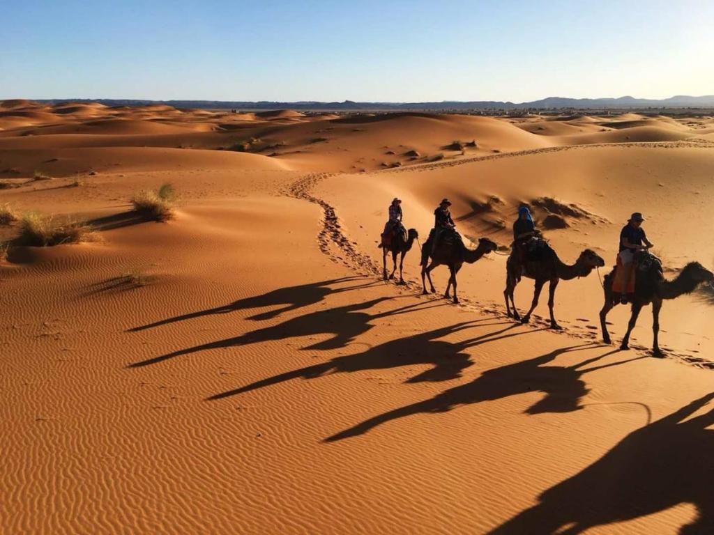 Jaima Merzouga Desert Camp image 8