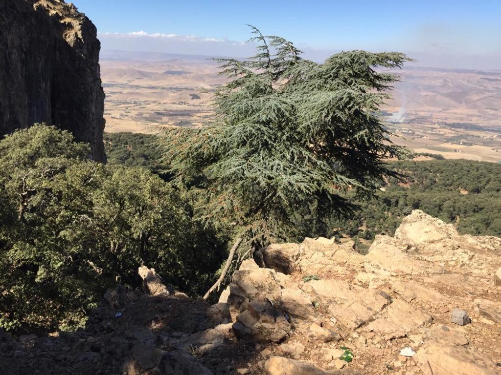 Joli Chalet dans une ferme Pour familles exclusivement près ifrane image 1