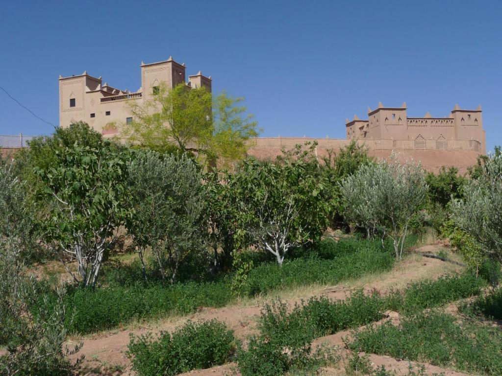 Kasbah Ait BenHadda image 3