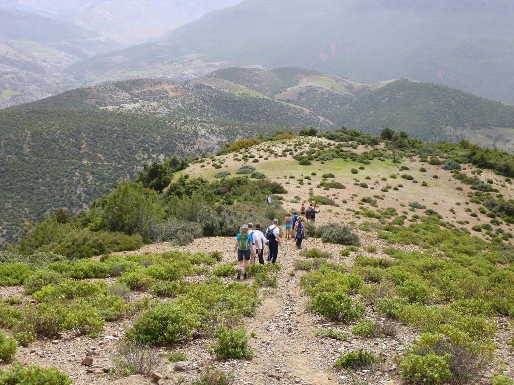 Kasbah Angour image 3