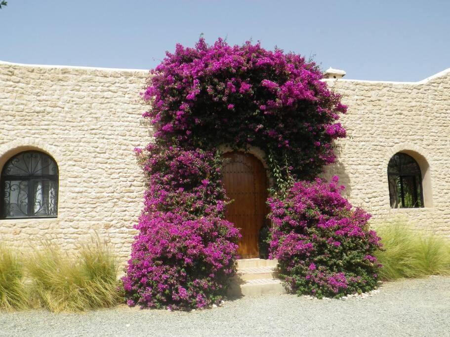 KASBAH Berbère - IDEALE POUR VOS VACANCES ! AVEC PERSONNEL DE MAISON image 6