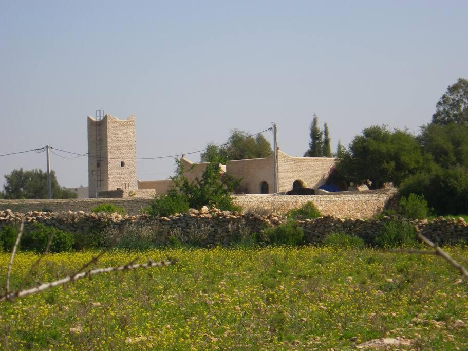 KASBAH Berbère - IDEALE POUR VOS VACANCES ! AVEC PERSONNEL DE MAISON image 8