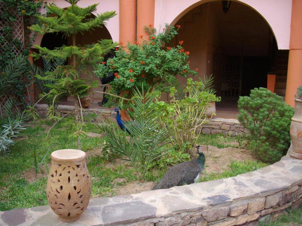 Kasbah Zitoune image 7