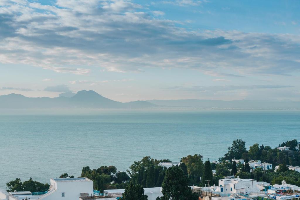 Les Jardins du Phare de Sidi Bou Said image 4