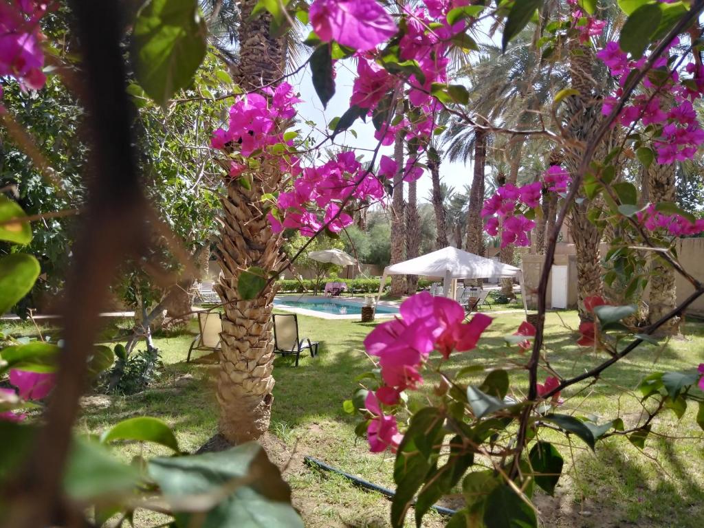 maison d'hote ighrem image 1