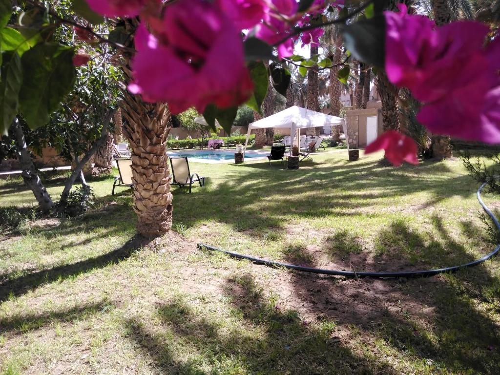 maison d'hote ighrem image 4