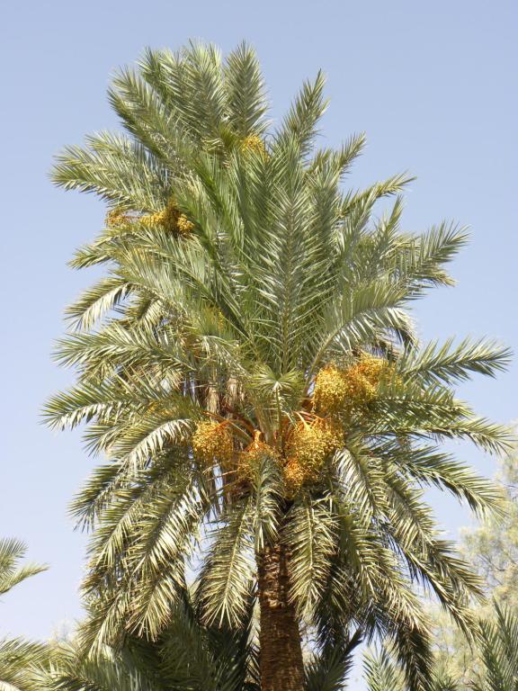 Maison La Berberina image 3