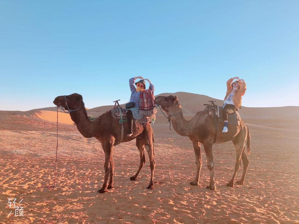 Merzouga Adrar Camp