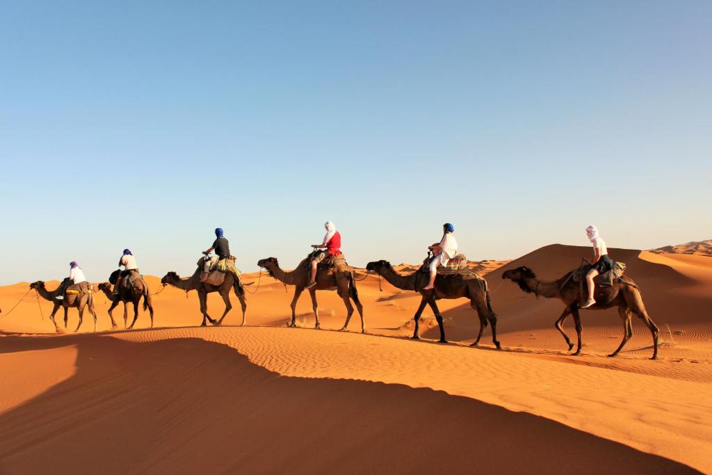 Merzouga Bivouac & Camping image 1