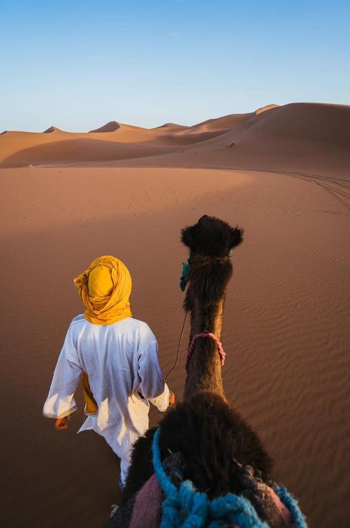 Merzouga Bivouac & Camping image 3